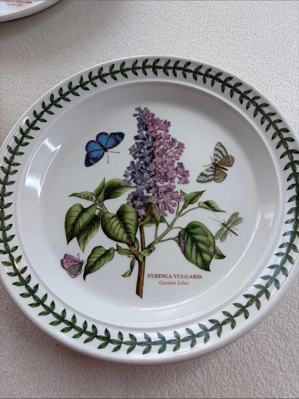 Portmeirion Botanic Garden 4 Salad plates